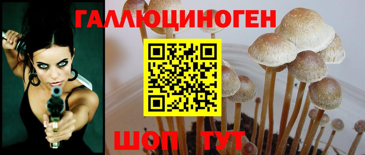 Псилоцибиновые грибы Magic Shrooms  Псилоцибиновые грибы GOLDEN TEACHER  Вход с VPN  Борисоглебск 